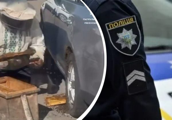 Поки рівнянин був за кордоном, його авто "окупували" несподівані пасажири
