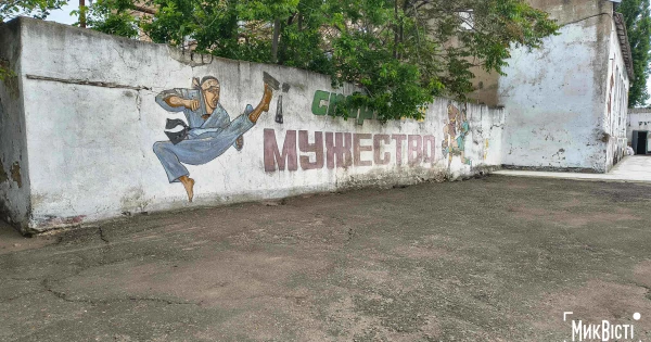 Поле у бур'янах і ями на доріжках: який вигляд має …