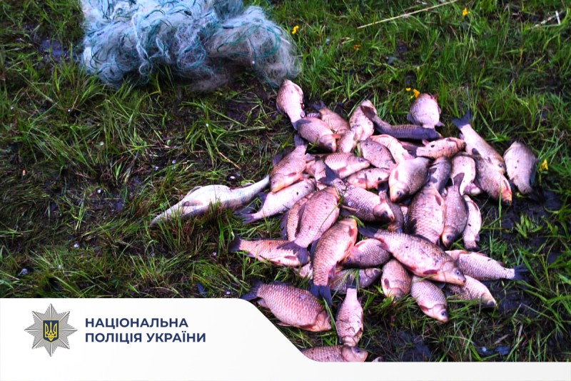 Поліція Вінниччини розпочала 2 кримінальні провадження за фактами незаконного вилову …