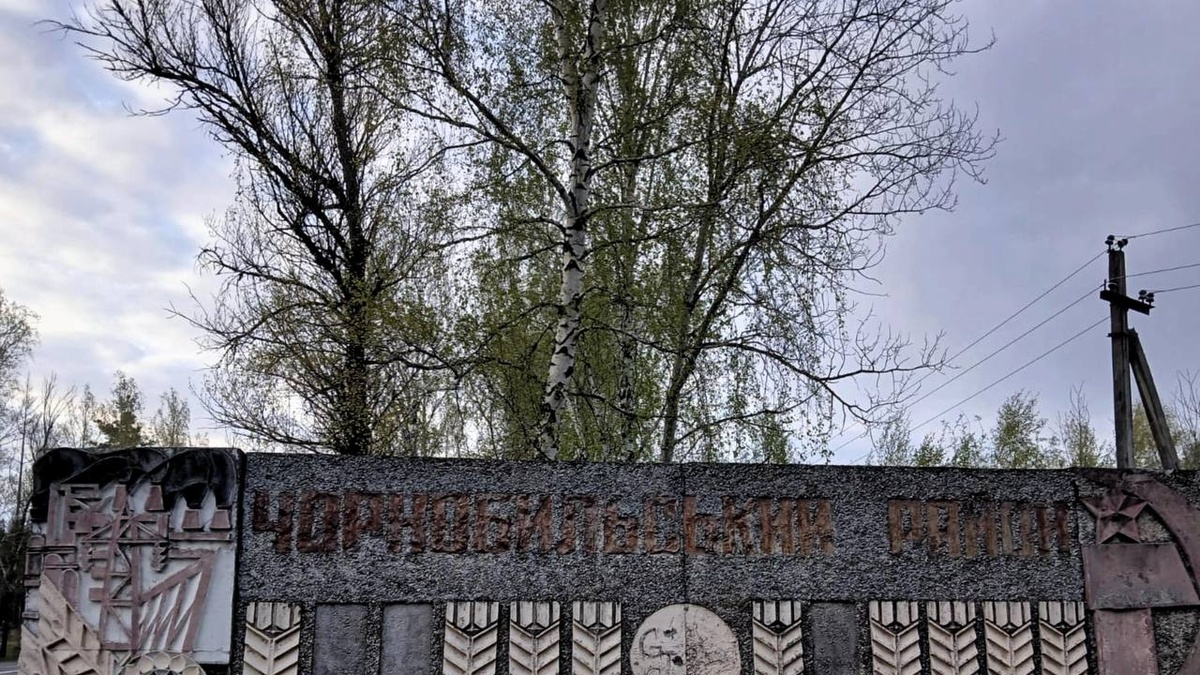 Понад 190 га Чорнобильського заповідника використовували під агробізнес – прокуратура