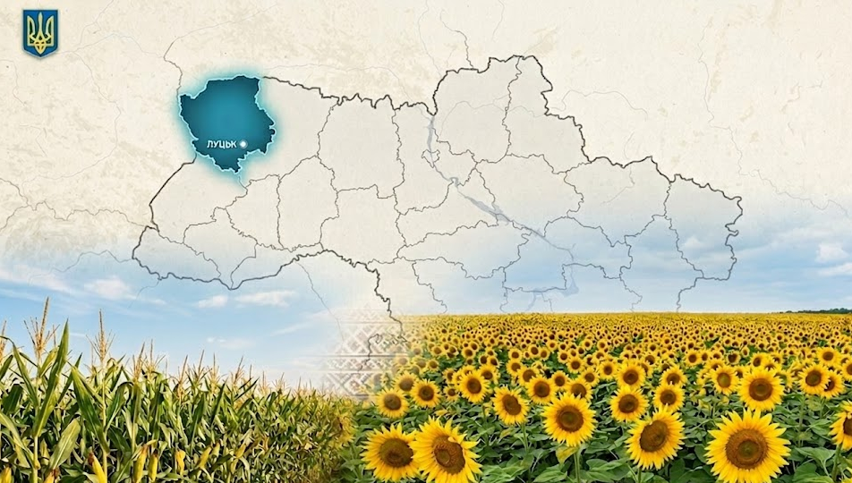Посівна на Волині: кукурудза й соняшник зайняли 93 тис. га …