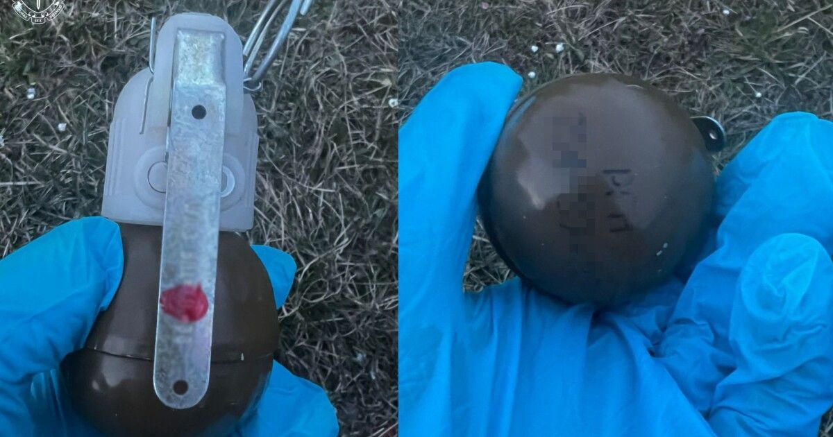 Похвалився гранатою в прямому ефірі: на Львівщині судитимуть «стрімера», якого …