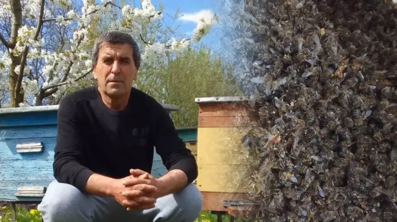 Прикопав 11 відер мертвих бджіл: на Буковині комахи загинули через …