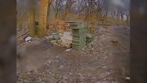 Прикордонники розгромили позиції росіян на Харківщині: знищено гармату, міномет і …