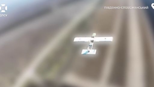 Прикордонники показали, як знищили 10 ворожих безпілотників "Молнія" на Харківщині