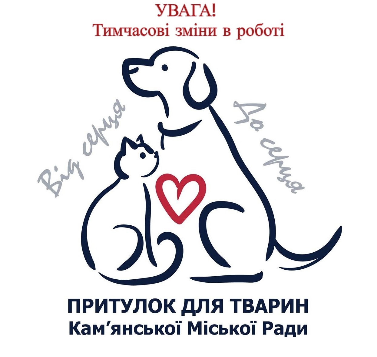 Притулок для тварин у Кам’янському запровадив ліміти на одночасне утримання …