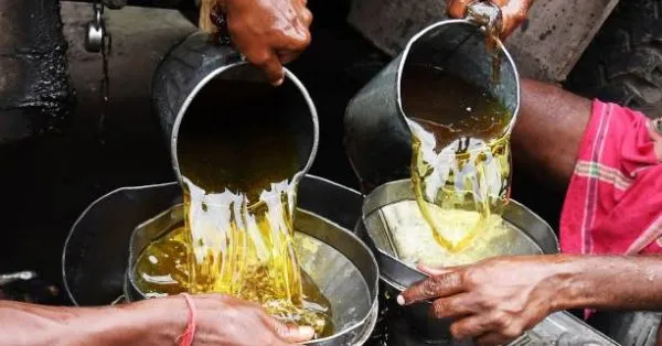 Прогнози FAO: ризики глобальної продовольчої кризи і наслідки для України