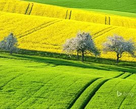 Прозора система земельних торгів додає активам ефективності