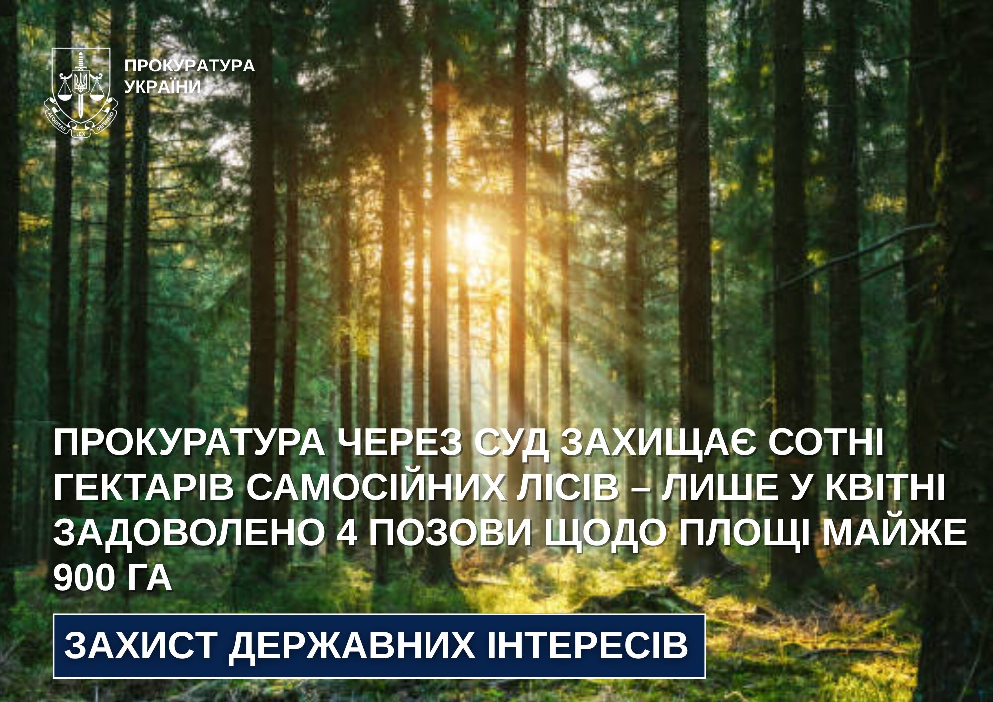 Прокуратура через суд змушує громади Житомирщини узаконити 900 гектарів самосійних …