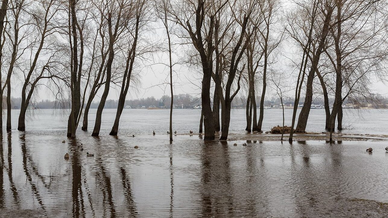 Протягом трьох днів на Чернігівщині очікується максимальне водопілля