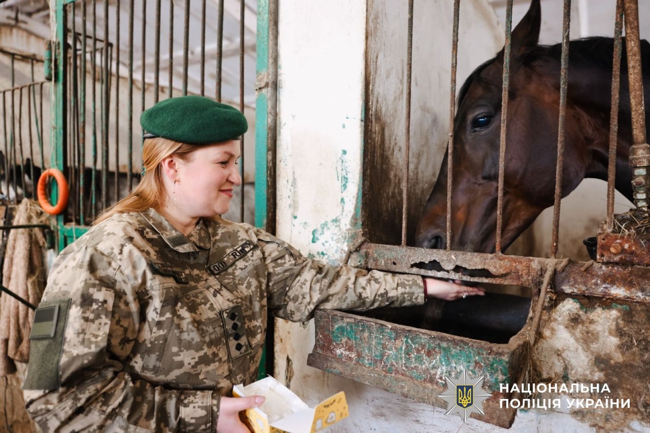 Психологи поліції Сумщини впровадили іпотерапію для відновлення поранених правоохоронців