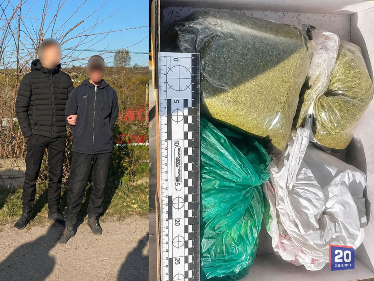 Пів кілограма наркотиків: на Жмеринщині затримали баригу