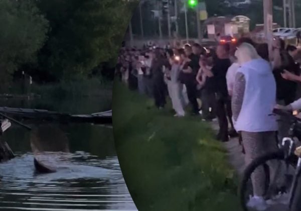 "Пів міста зібралося, машини поставали": рибалка в Умані зловив справжнього …