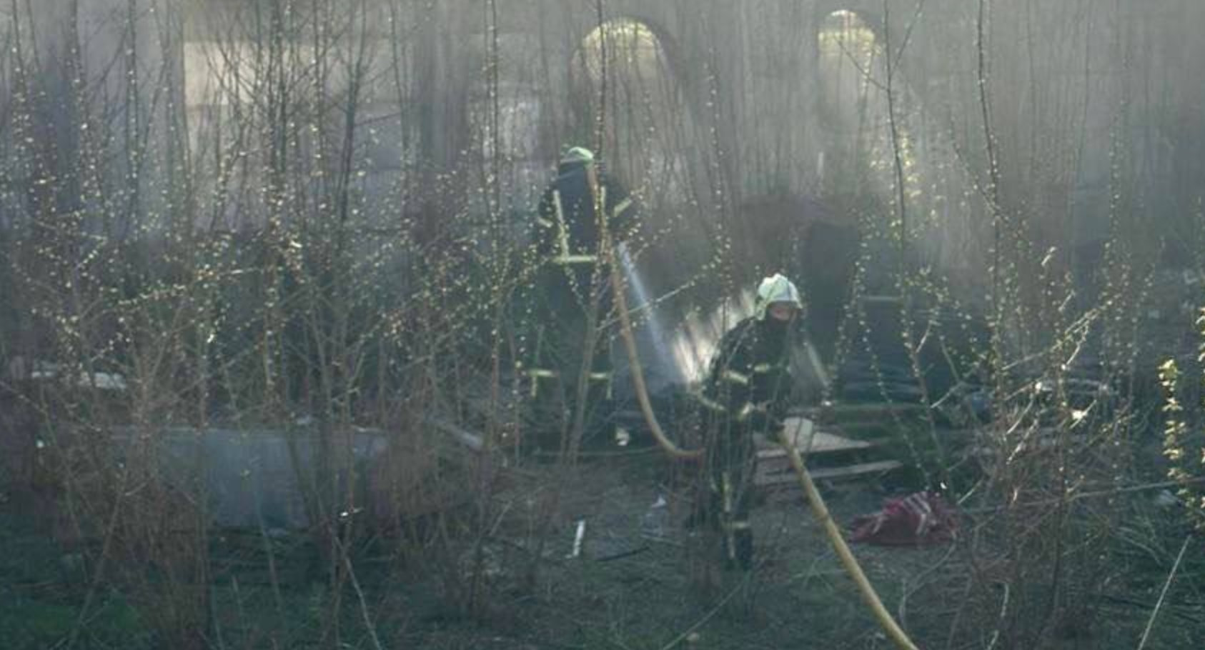 Підлітки спричинили пожежу біля озера Райдужне в Києві, батьки отримали …