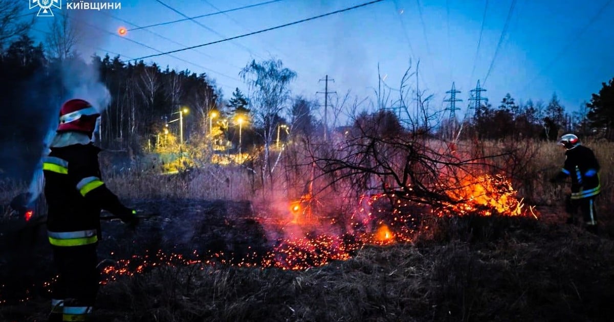 Підпалив сухостій і згорів сам. На Київщині чоловік загинув на …