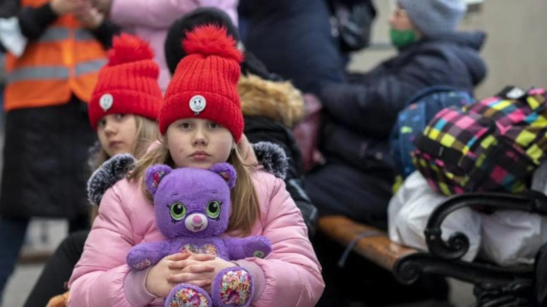 Підтримка для ВПО з Білокуракинської громади: доступні програми допомоги