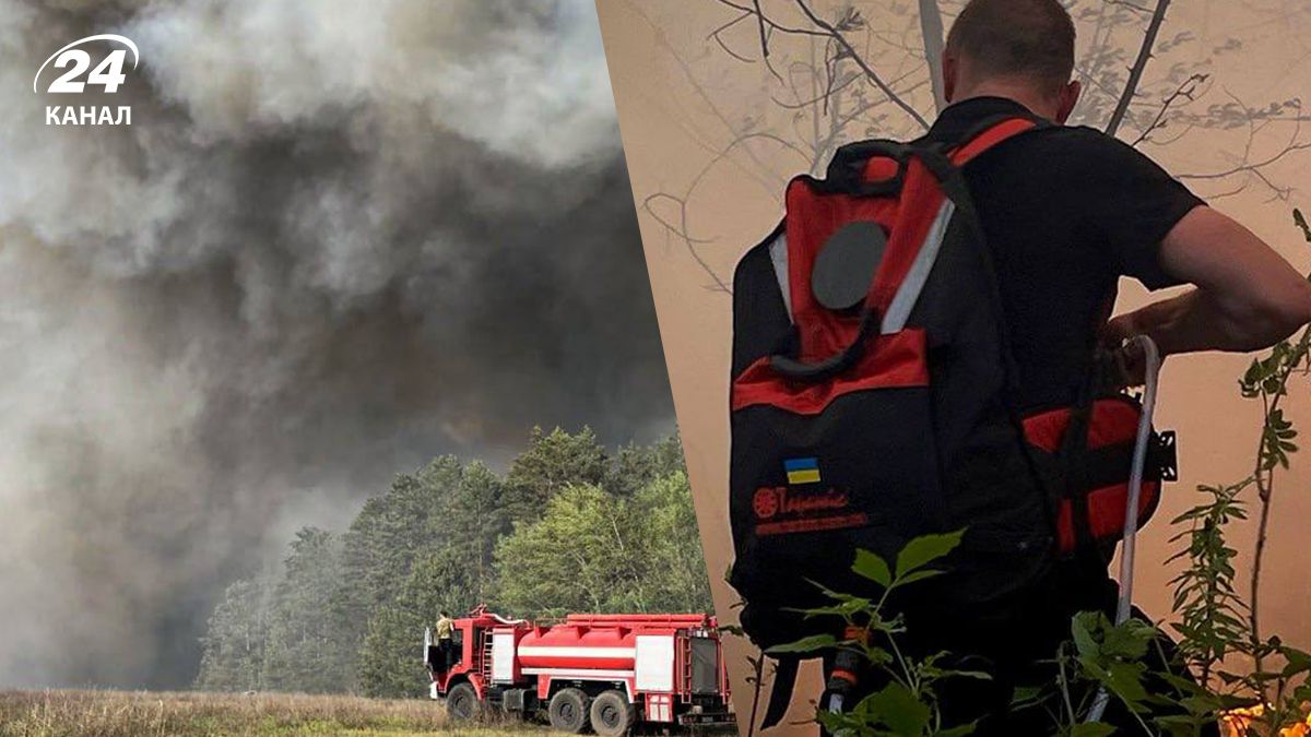 Під Києвом сильно горить ліс: страшні кадри масштабної пожежі
