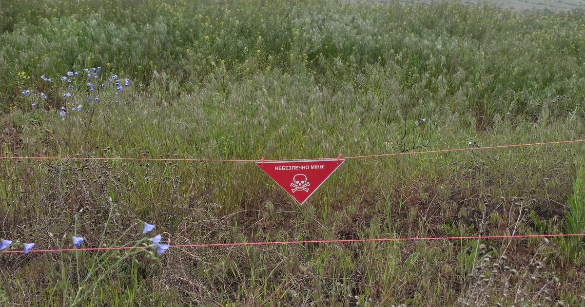 Понад 30% природоохоронних територій постраждали від війни, а «Олешківські піски» …