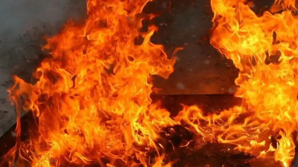 Під час пожежі в житловому будинку загинула 20-річна дівчина на …