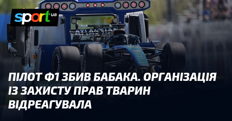 Пілот Ф1 збив бабака. Організація із захисту прав тварин відреагувала