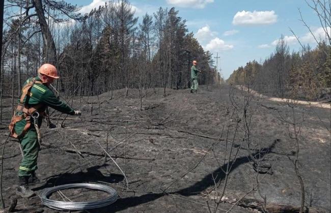Після масштабної пожежі на Рівненщині відновлюють електромережу