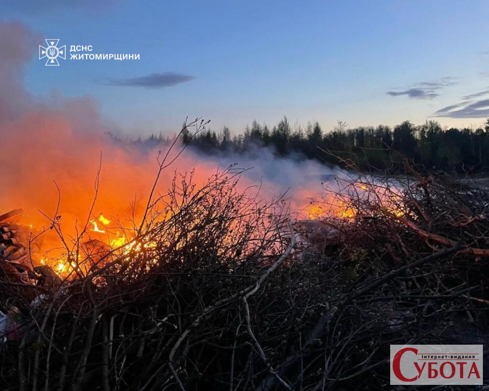 Після потепління в області різко побільшало пожеж: на Коростенщині вигоріло …
