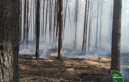 Після російської атаки на Київщині майже добу гасили лісові пожежі