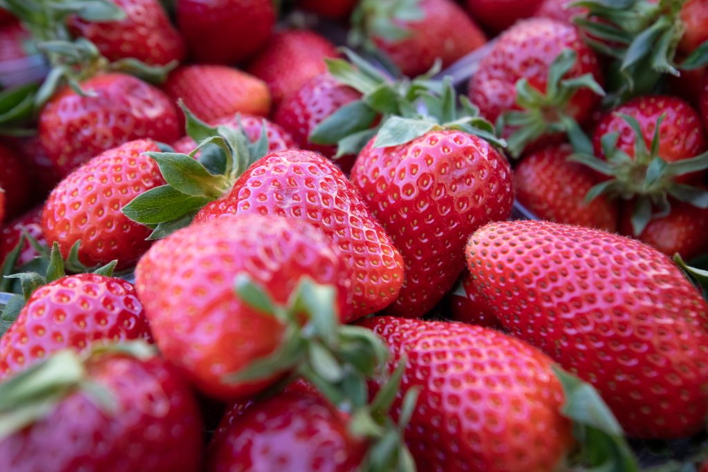 Ринки Києва: де знайти свіжі фермерські продукти цього тижня
