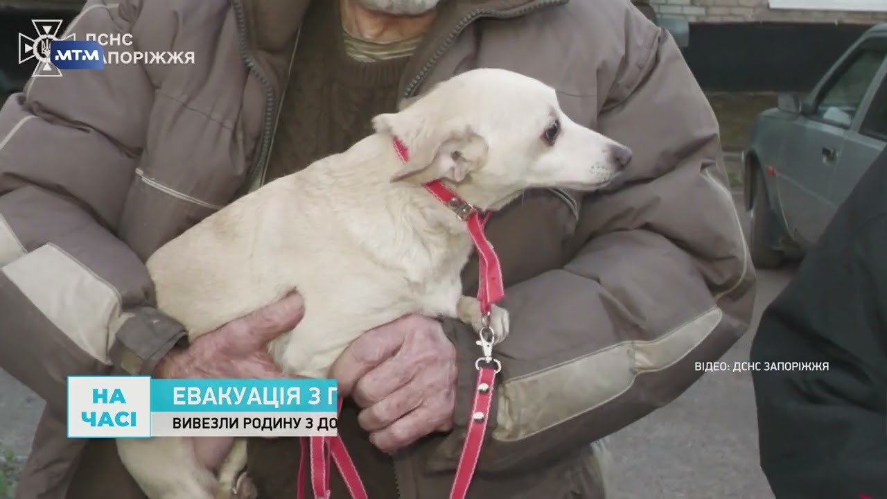 Родину з собаками евакуювали із Преображенської громади