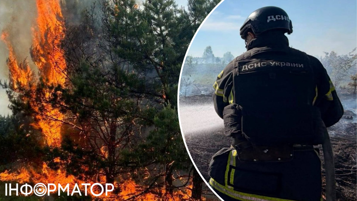 Російський дрон спричинив масштабну пожежу на Чернігівщині - вигоріло 7 …