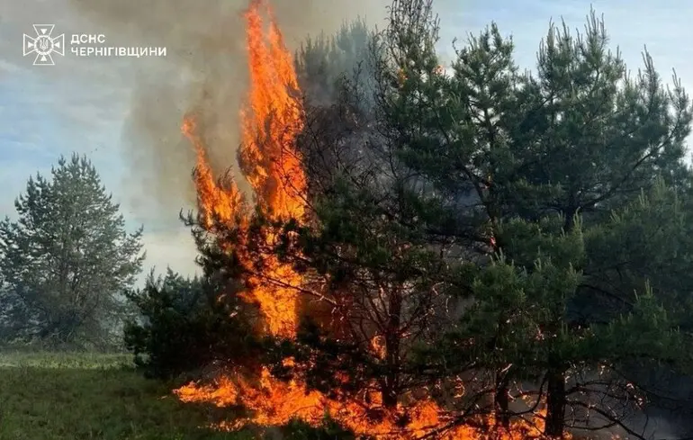 Росіяни атакували залізницю в Чернігівській області, спалахнула пожежа на семи …
