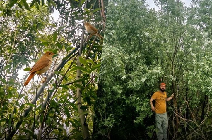 Росіяни затопили Великий Луг, але природа зробила неможливе