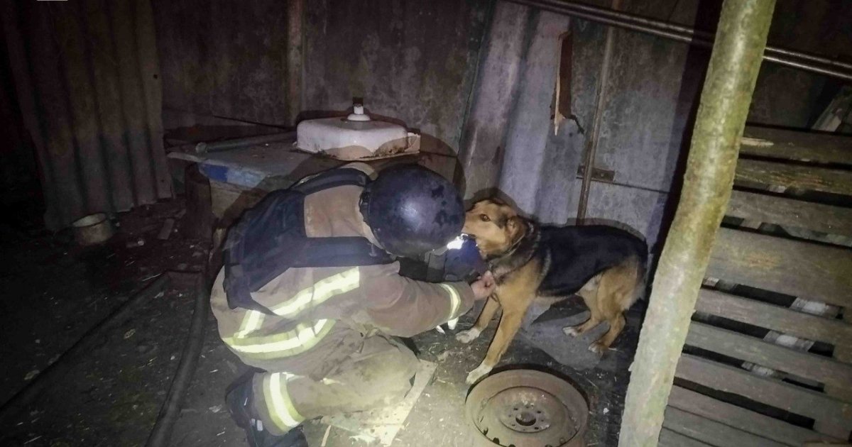 Росіяни знову атакували Ямпіль. Рятувальники дістали з-під завалів двох песиків