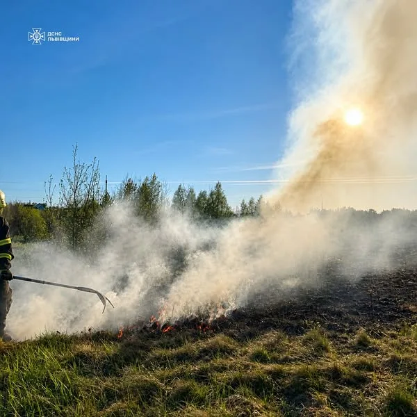 Рятувальники Львівщини ліквідовують пожежі в екосистемах