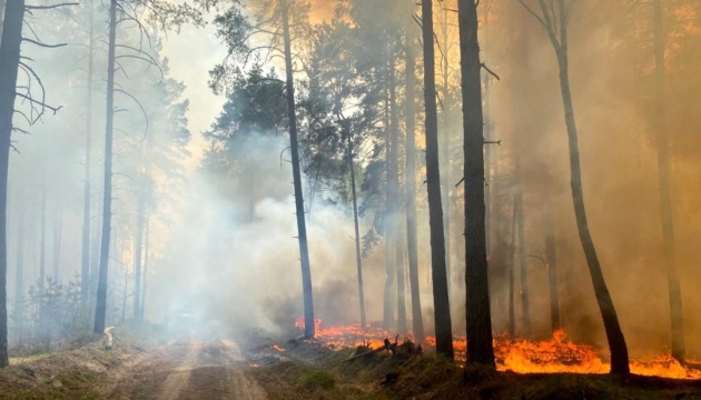 Рятувальники локалізували масштабну лісову пожежу на Чернігівщині