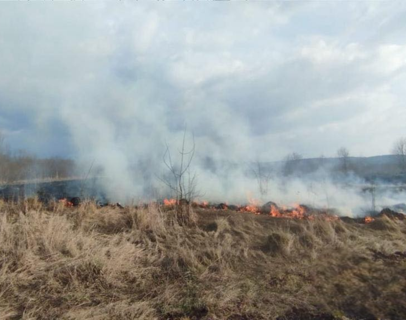 Рятувальники ліквідували 5 загорянь сухої рослинності на Прикарпатті, з початку …