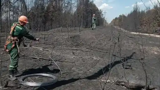 Рівненські енергетики відновлюють мережі після масштабної лісової пожежі