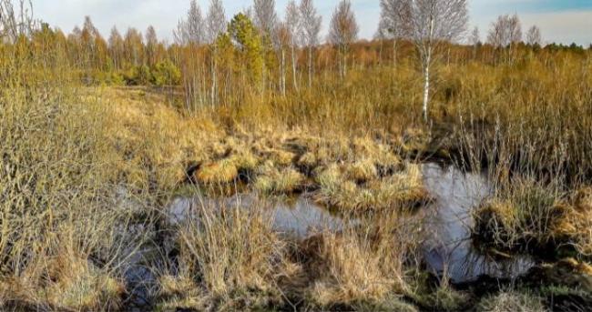 Рівненщина має більше сотні родовищ торфу
