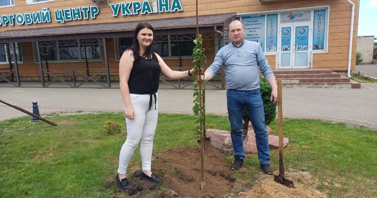 Сакури будуть і на Поліссі: в Маневичах висадили саджанці із …