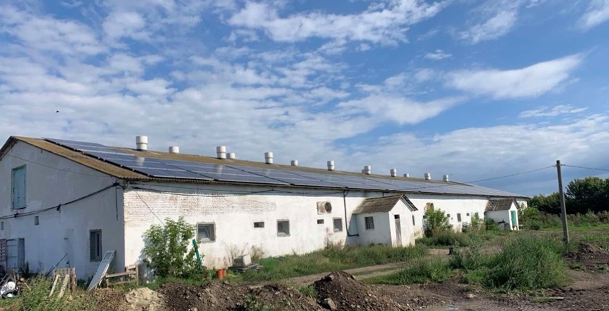 Свиноферма з Тернопільщини перейшла від відгодівлі до повного виробничого циклу