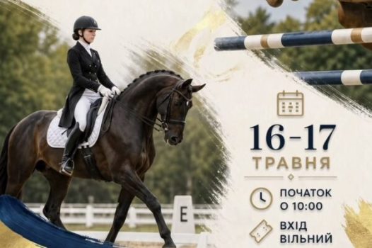 Свято грації, спорту та милосердя: як пройшов Чемпіонат Миколаївської області …