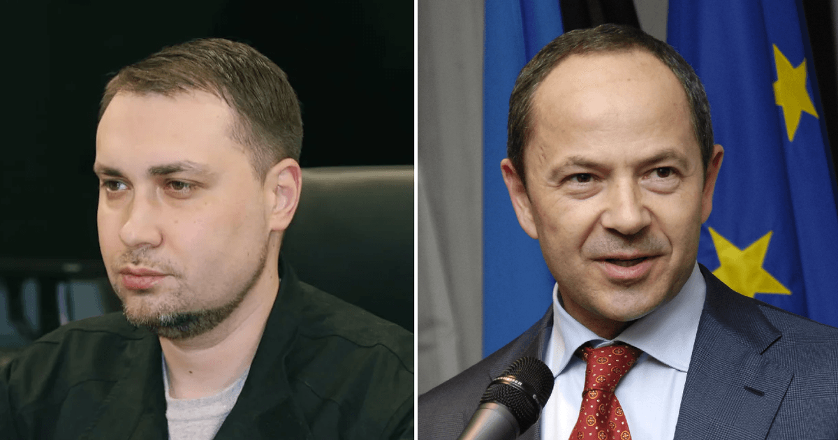 Сергій Тігіпко став позаштатним радником Буданова в ОП