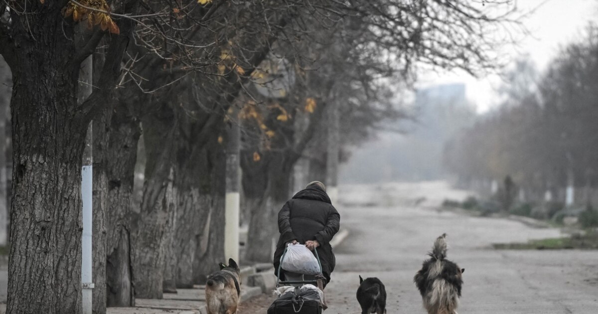 «Сидимо як миші під віником». Як виживають люди і пси …