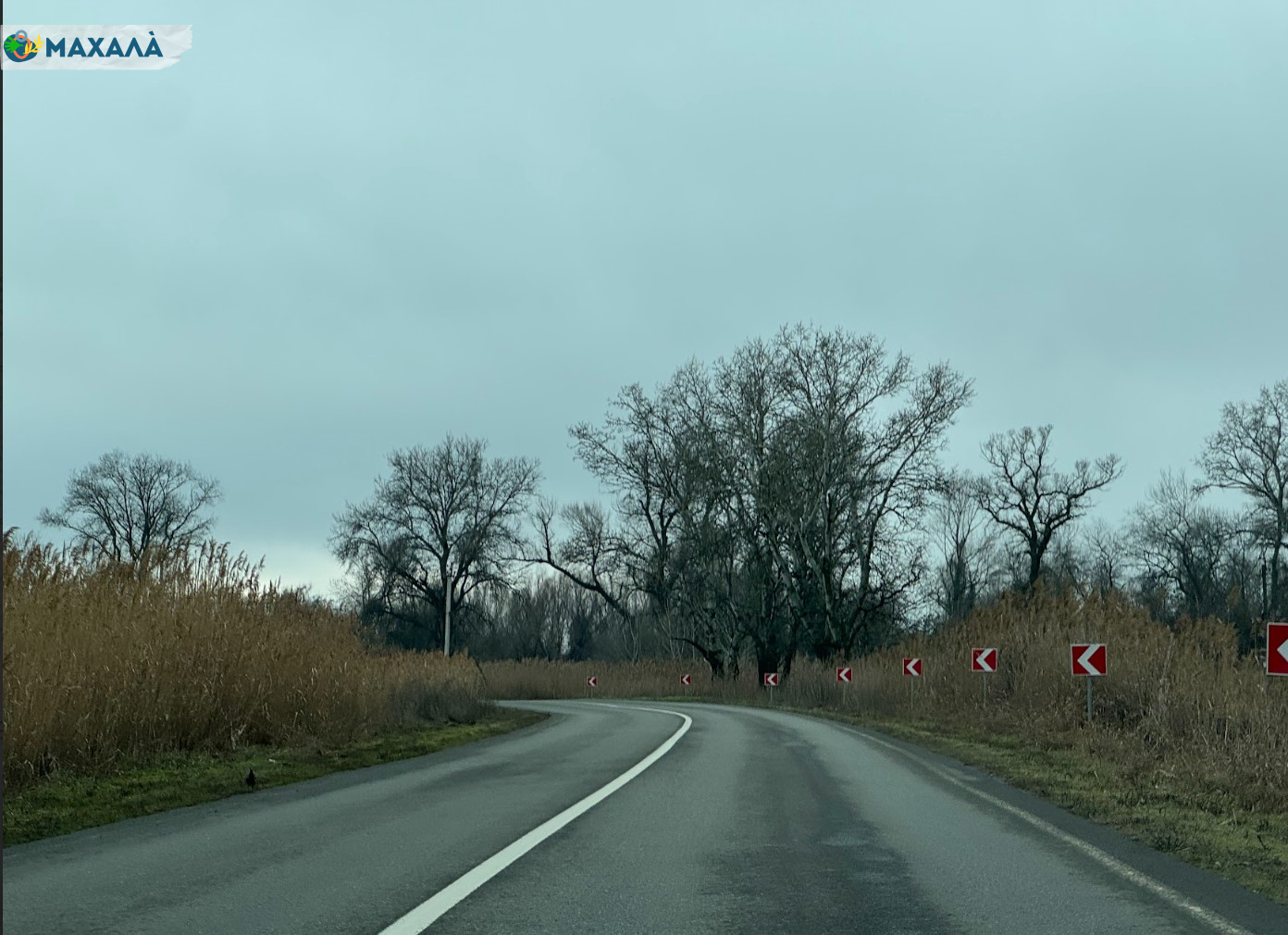 Ситуація зі сміттям на в’їзді в Рені змінюється: до прибирання …