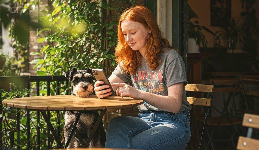 Скандальна мапа Києва: де тварин чекають, а де - ні