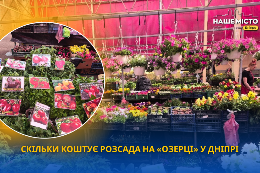 Скільки коштує розсада на «Озерці» у Дніпрі у травні: ціни …