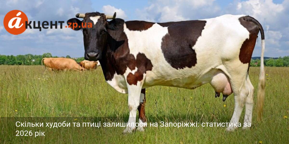 Скільки худоби та птиці залишилося на Запоріжжі: статистика за 2026 …