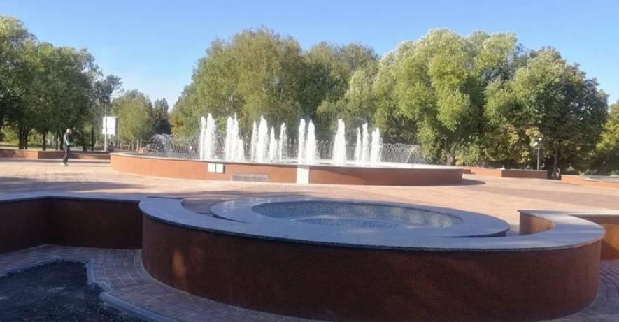 Смертельний фонтан: на Дніпропетровщині собаку вбило струмом