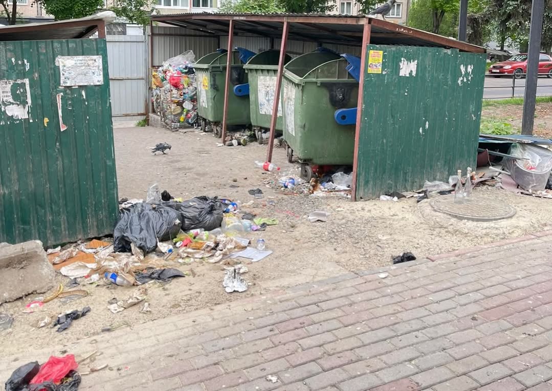 Сміттєвий колапс на Київській: тернополяни скаржаться на занедбаний майданчик для …