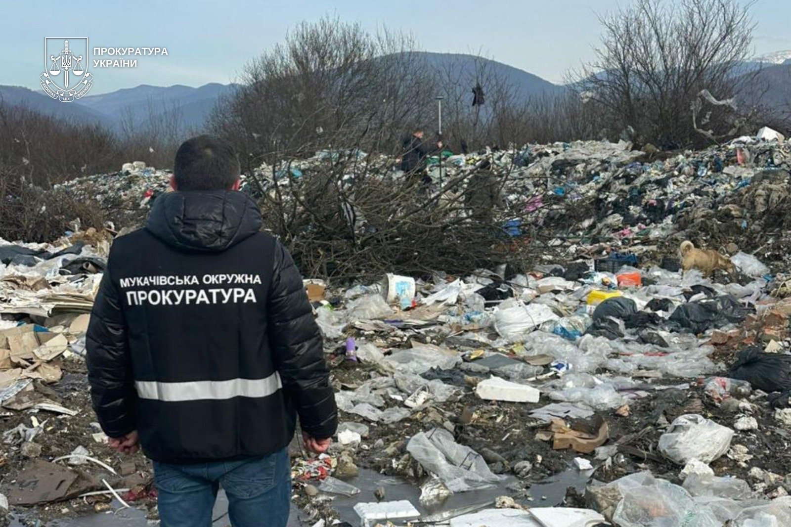 Сміттєзвалище за межами закону: на Закарпатті судитимуть керівника комунального підприємства